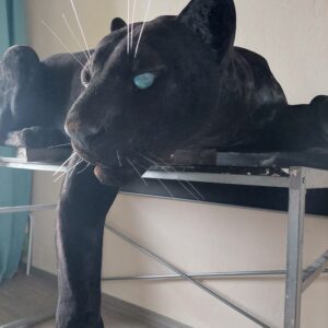 Скульптура, декор