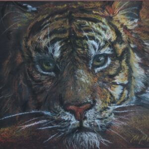 "Погляд тигра"